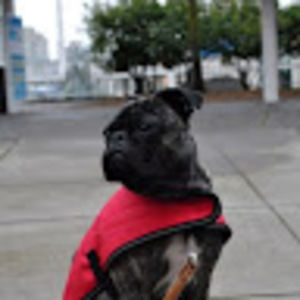 Meet your Posher, Luci